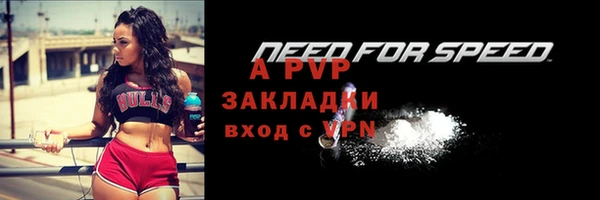 крисы Куйбышев