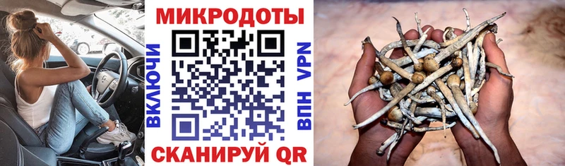 Галлюциногенные грибы прущие грибы Хвалынск